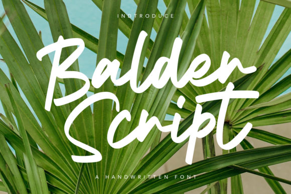 Balder Script Font: Elevate Handmade Crafts & Products