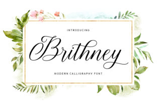 Brithney Font Review: Friendly Script for Web Design