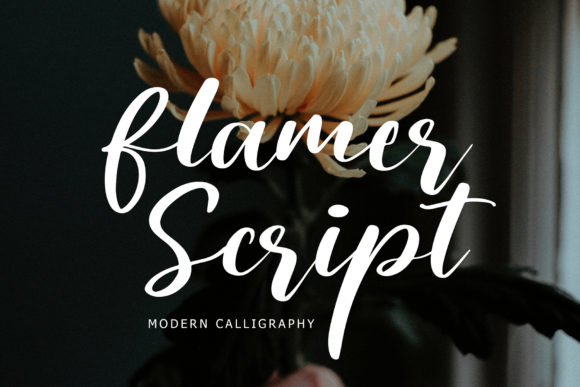 Flamer Script Font: A Web Designer’s Layout Review