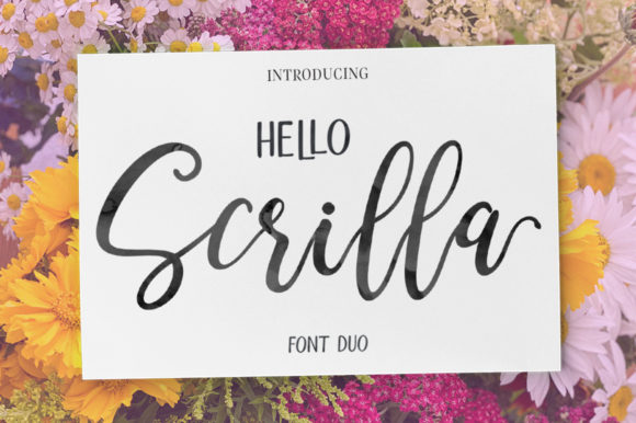 Hello Scrilla Script Font: A Designer’s Practical Review