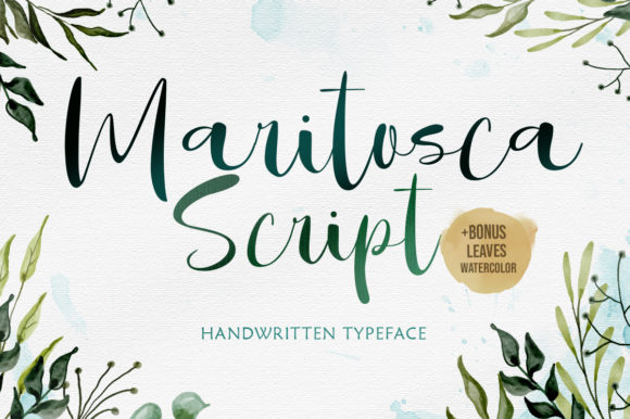 Maritosca Script Font for Modern Web Design