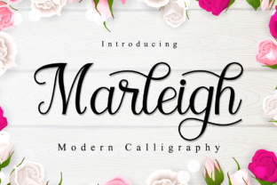 Marleigh Font: Friendly Script for Modern Web Design