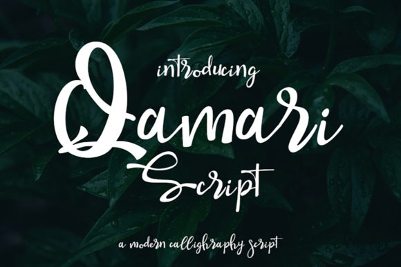 Qamari Script Font: Elevating Small Business Branding