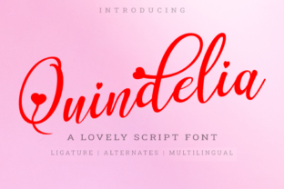 Quindelia Font: A Friendly Script for Brand Identity